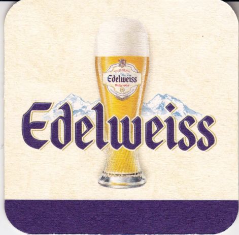 edelweis1_2.jpg